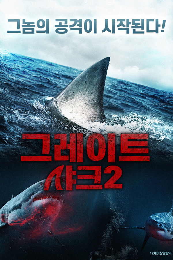 그레이트 샤크2