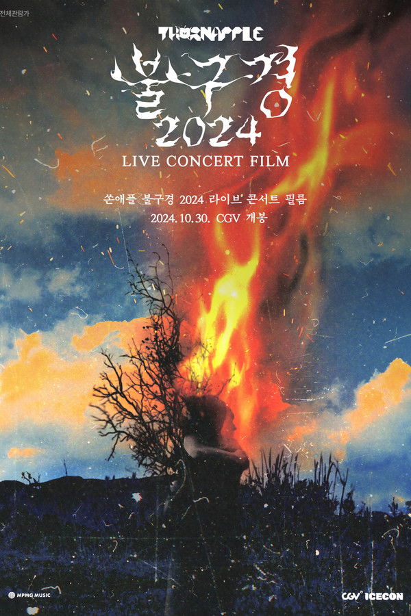 쏜애플 불구경 2024 라이브 콘서트 필름