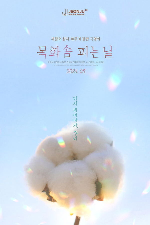 목화솜 피는 날