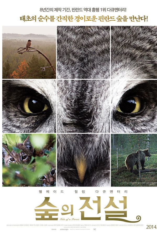 숲의 전설