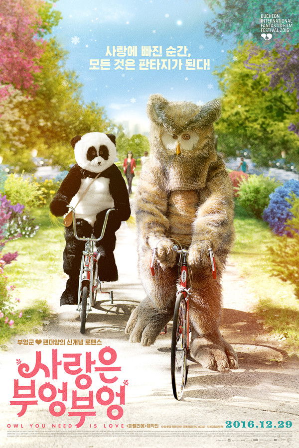 사랑은 부엉부엉