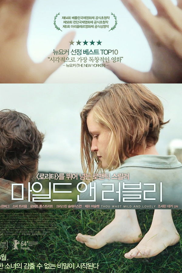 마일드 앤 러블리