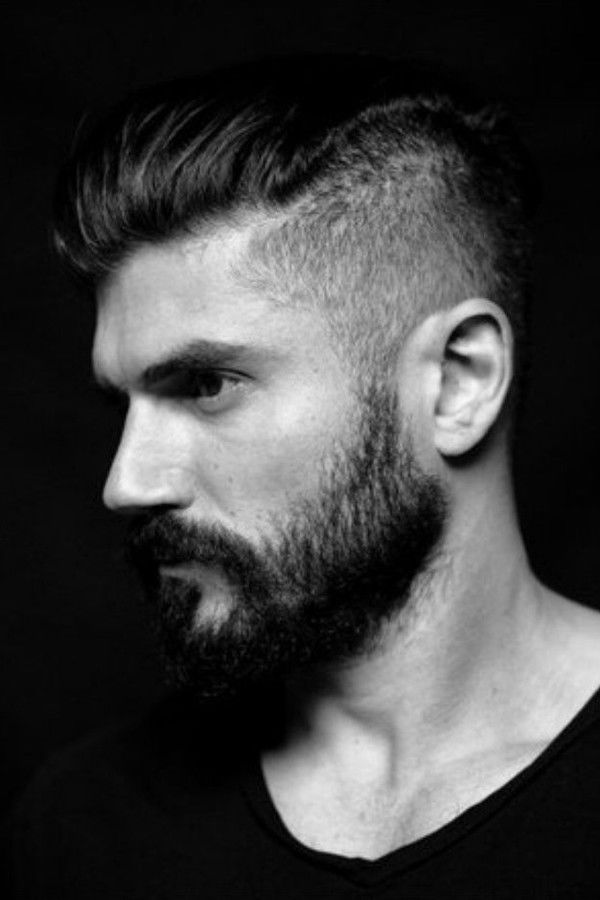 앤드류 레비타스